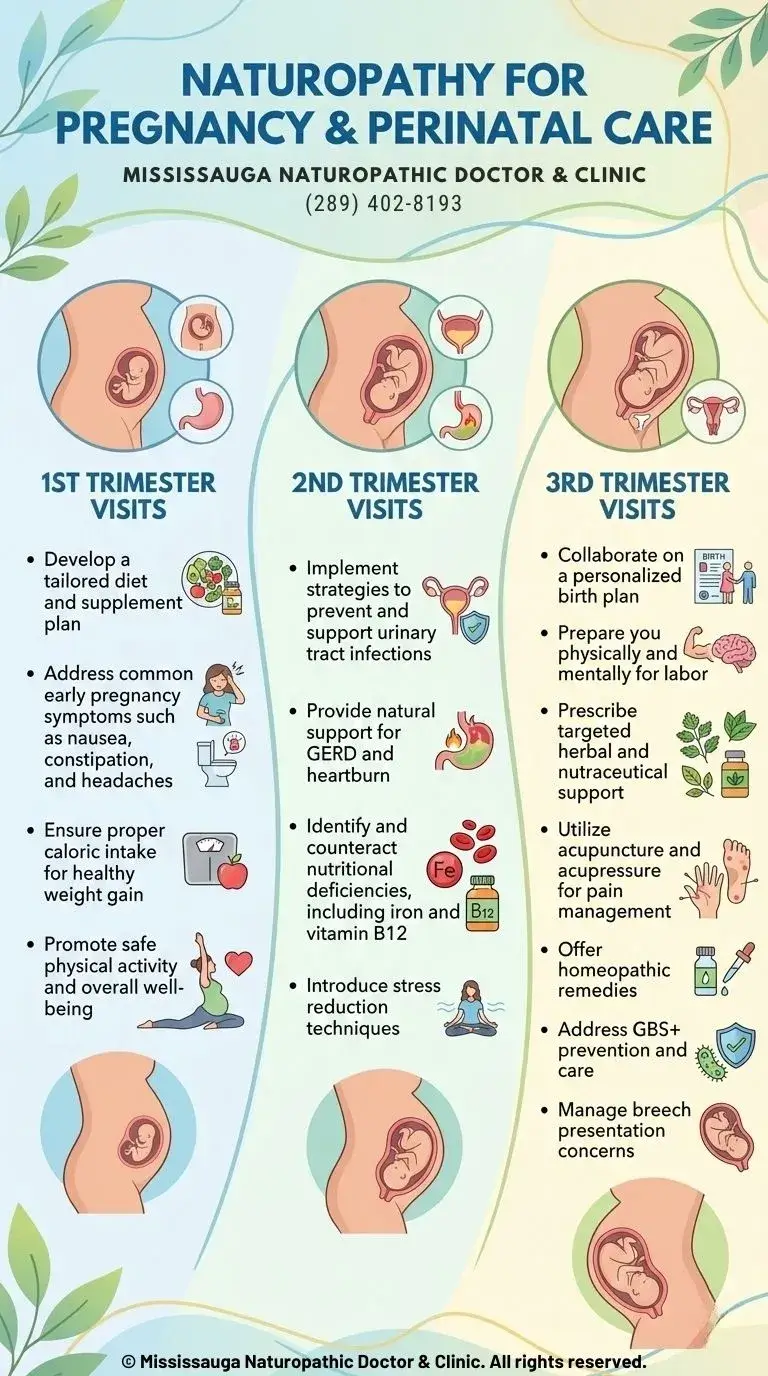 Pregnancy and Perinatal Care - Infographic - Mississauga Naturopathic Doctor & Clinic