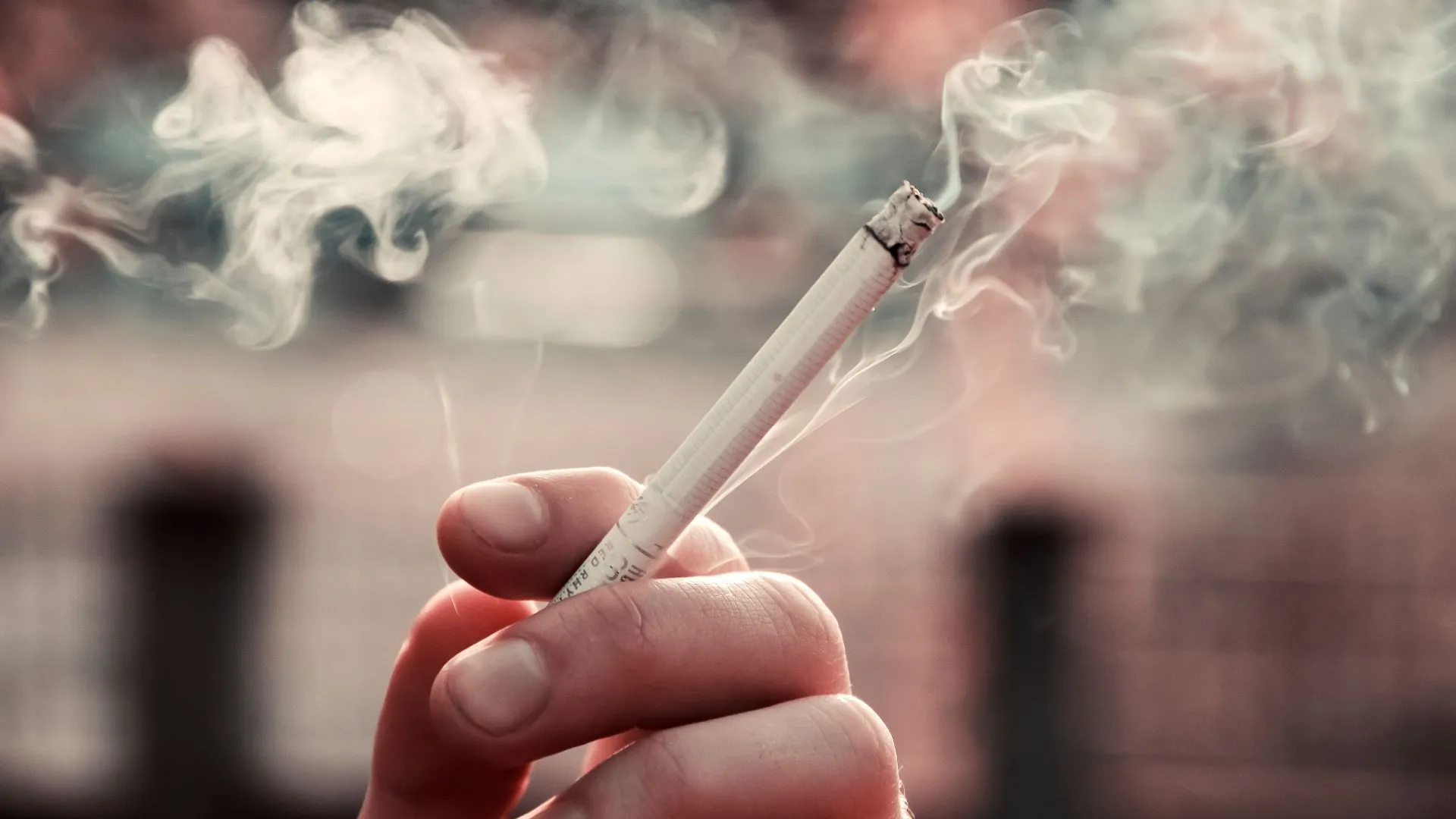 Common Causes and Risk Factors