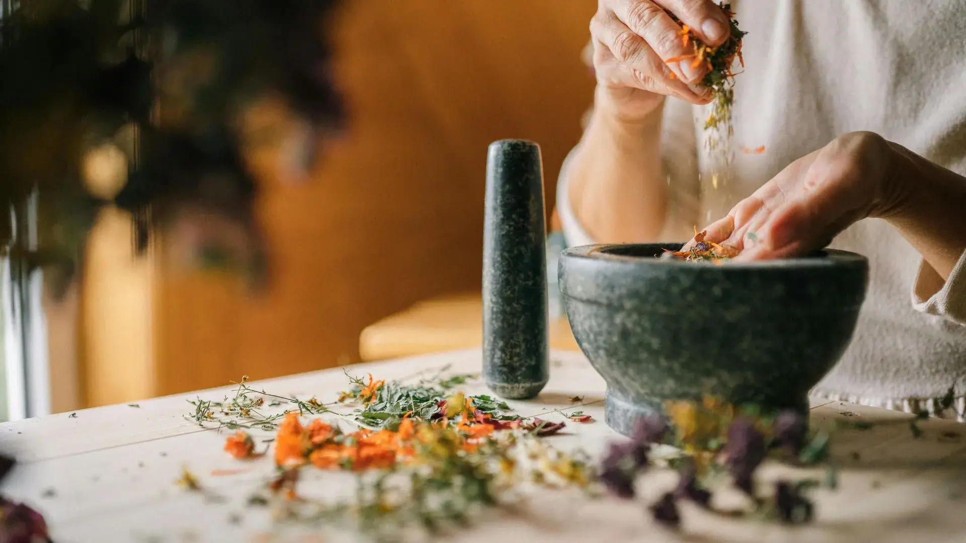 How Homeopathy Supports Whole Body Wellness