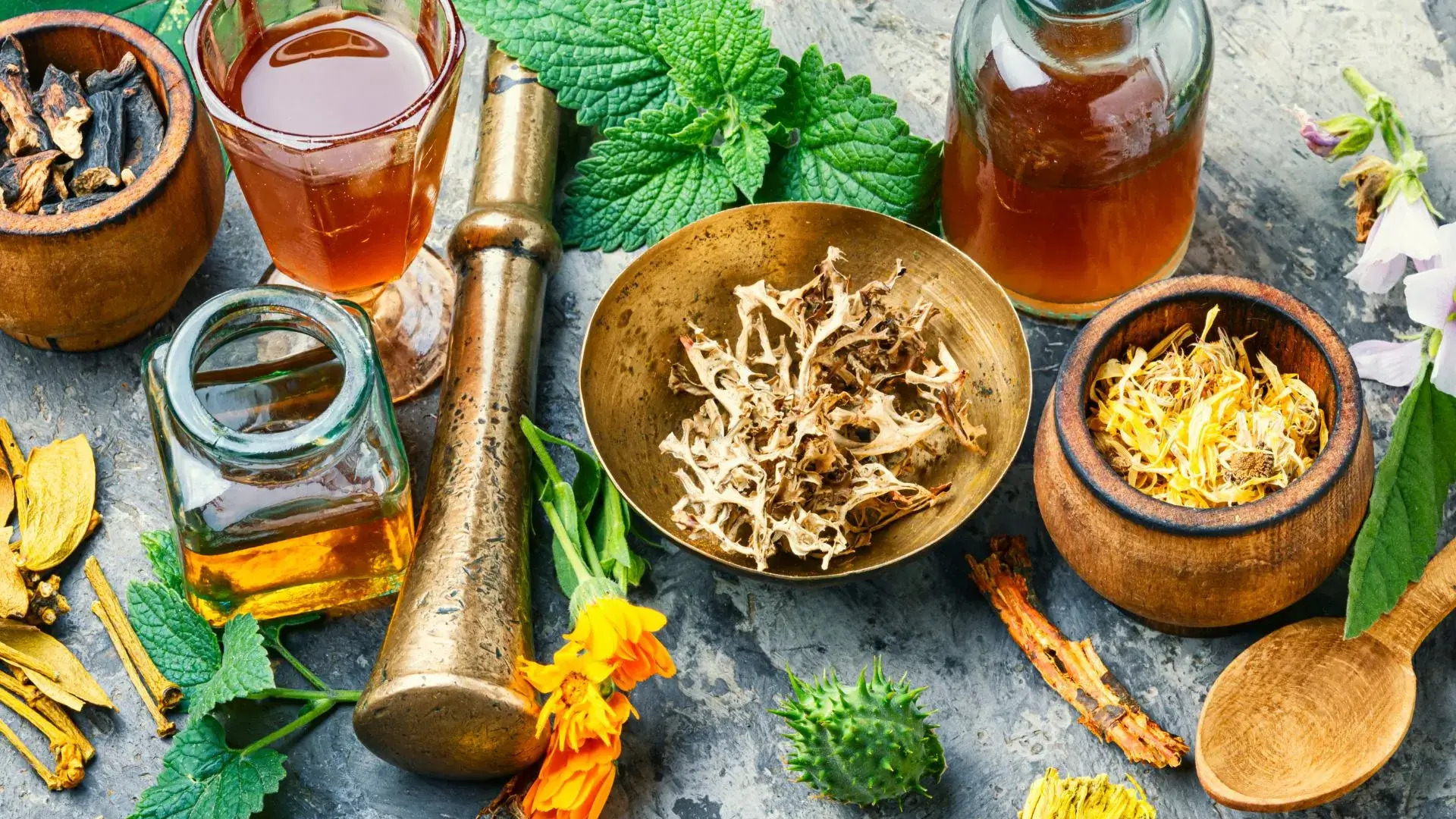 Naturopathic Approach to SIBO Care