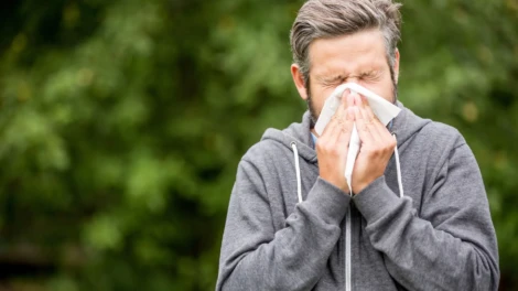 Hay Fever